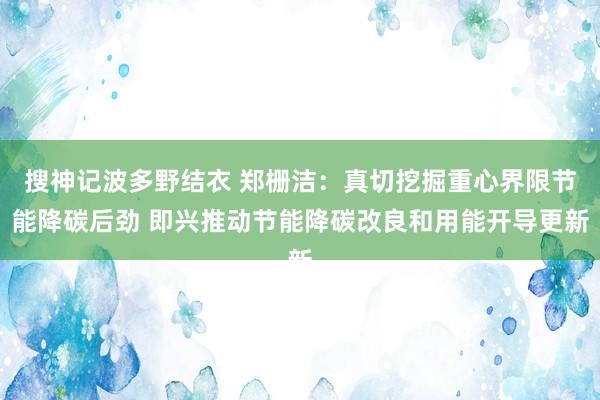 搜神记波多野结衣 郑栅洁：真切挖掘重心界限节能降碳后劲 即兴推动节能降碳改良和用能开导更新