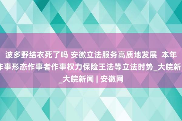 波多野结衣死了吗 安徽立法服务高质地发展  本年将入手新作事形态作事者作事权力保险王法等立法时势_大皖新闻 | 安徽网