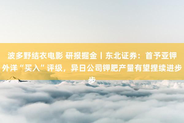 波多野结衣电影 研报掘金丨东北证券：首予亚钾外洋“买入”评级，异日公司钾肥产量有望捏续进步