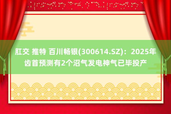 肛交 推特 百川畅银(300614.SZ)：2025年齿首预测有2个沼气发电神气已毕投产