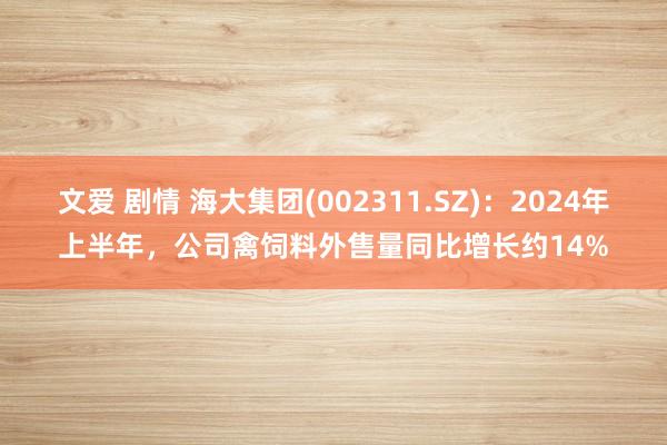文爱 剧情 海大集团(002311.SZ)：2024年上半年，公司禽饲料外售量同比增长约14%