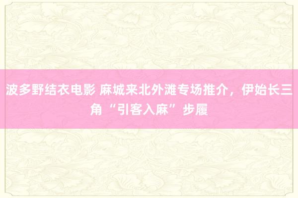 波多野结衣电影 麻城来北外滩专场推介，伊始长三角 “引客入麻” 步履