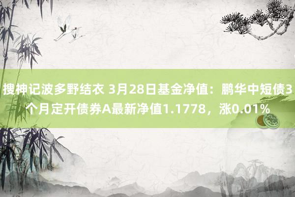 搜神记波多野结衣 3月28日基金净值：鹏华中短债3个月定开债券A最新净值1.1778，涨0.01%