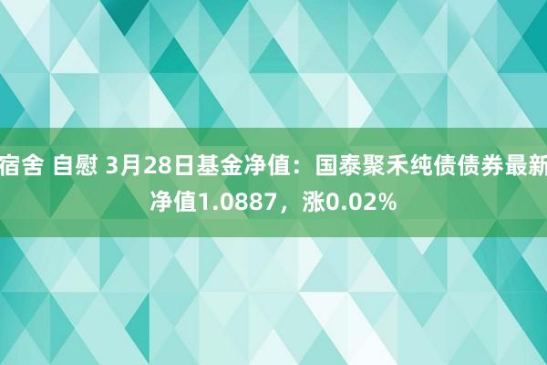 宿舍 自慰 3月28日基金净值：国泰聚禾纯债债券最新净值1.0887，涨0.02%
