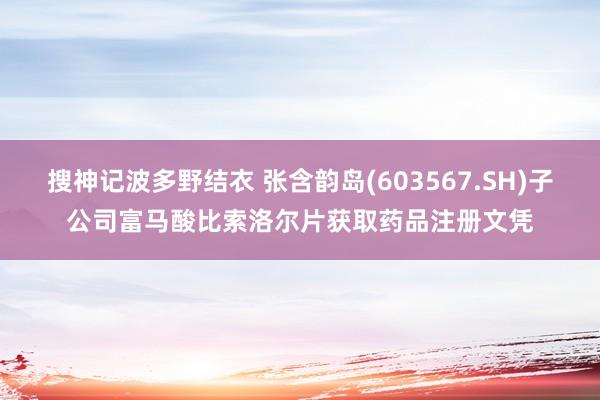 搜神记波多野结衣 张含韵岛(603567.SH)子公司富马酸比索洛尔片获取药品注册文凭