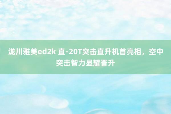 泷川雅美ed2k 直-20T突击直升机首亮相，空中突击智力显耀晋升