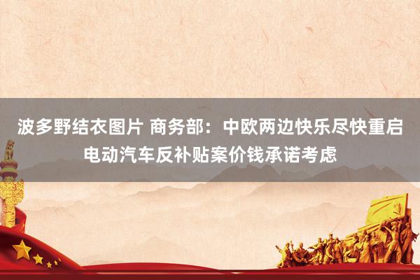 波多野结衣图片 商务部：中欧两边快乐尽快重启电动汽车反补贴案价钱承诺考虑