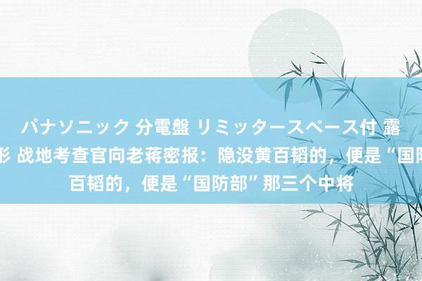 パナソニック 分電盤 リミッタースペース付 露出・半埋込両用形 战地考查官向老蒋密报：隐没黄百韬的，便是“国防部”那三个中将