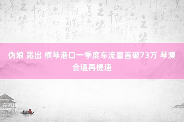 伪娘 露出 横琴港口一季度车流量首破73万 琴澳会通再提速