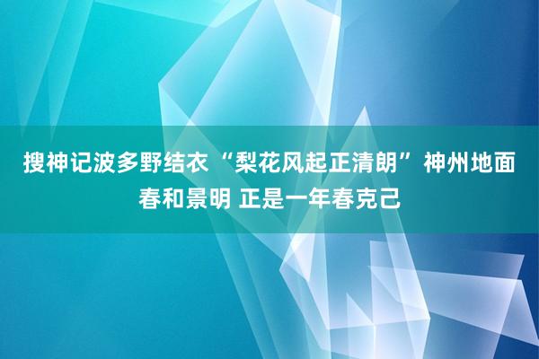 搜神记波多野结衣 “梨花风起正清朗” 神州地面春和景明 正是一年春克己