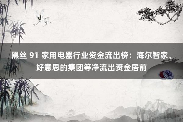 黑丝 91 家用电器行业资金流出榜：海尔智家、好意思的集团等净流出资金居前