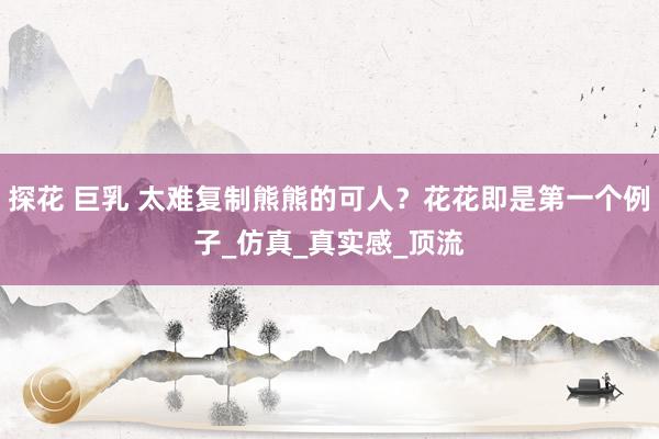 探花 巨乳 太难复制熊熊的可人？花花即是第一个例子_仿真_真实感_顶流