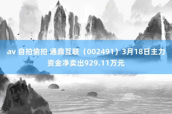 av 自拍偷拍 通鼎互联（002491）3月18日主力资金净卖出929.11万元