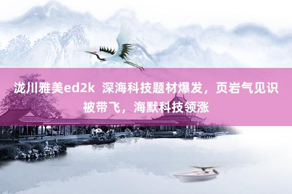 泷川雅美ed2k  深海科技题材爆发，页岩气见识被带飞，海默科技领涨