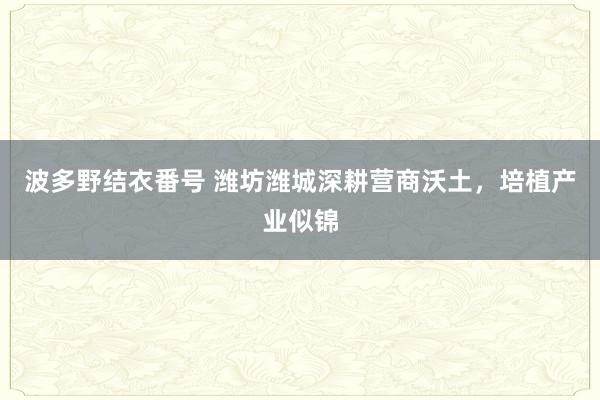 波多野结衣番号 潍坊潍城深耕营商沃土，培植产业似锦