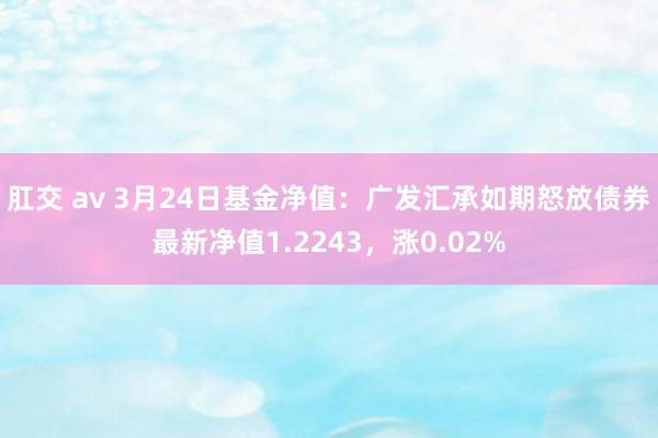 肛交 av 3月24日基金净值：广发汇承如期怒放债券最新净值1.2243，涨0.02%