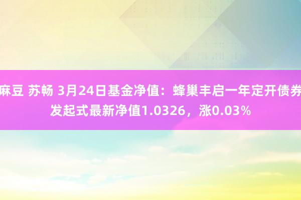 麻豆 苏畅 3月24日基金净值：蜂巢丰启一年定开债券发起式最新净值1.0326，涨0.03%