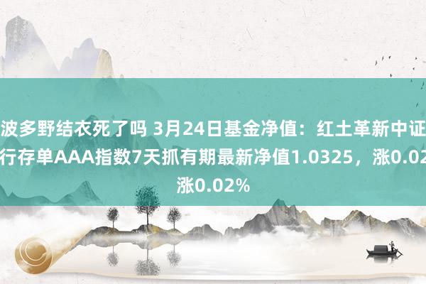 波多野结衣死了吗 3月24日基金净值：红土革新中证同行存单AAA指数7天抓有期最新净值1.0325，涨0.02%
