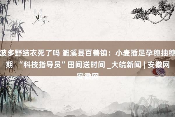 波多野结衣死了吗 濉溪县百善镇：小麦插足孕穗抽穗期  “科技指导员”田间送时间 _大皖新闻 | 安徽网