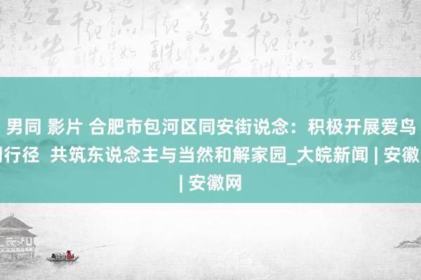 男同 影片 合肥市包河区同安街说念：积极开展爱鸟周行径  共筑东说念主与当然和解家园_大皖新闻 | 安徽网