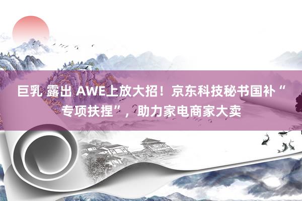 巨乳 露出 AWE上放大招！京东科技秘书国补“专项扶捏”，助力家电商家大卖