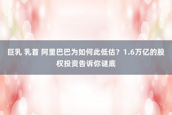 巨乳 乳首 阿里巴巴为如何此低估？1.6万亿的股权投资告诉你谜底