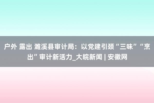 户外 露出 濉溪县审计局：以党建引颈“三味”“烹出”审计新活力_大皖新闻 | 安徽网