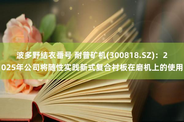 波多野结衣番号 耐普矿机(300818.SZ)：2025年公司将随性实践新式复合衬板在磨机上的使用