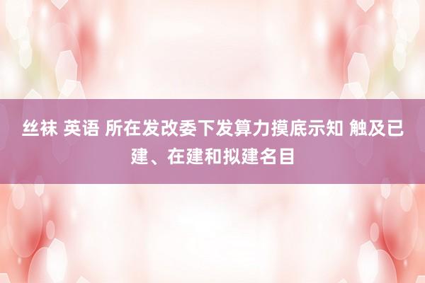 丝袜 英语 所在发改委下发算力摸底示知 触及已建、在建和拟建名目