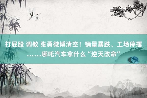 打屁股 调教 张勇微博清空！销量暴跌、工场停摆……哪吒汽车拿什么“逆天改命”