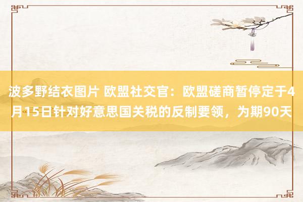 波多野结衣图片 欧盟社交官：欧盟磋商暂停定于4月15日针对好意思国关税的反制要领，为期90天