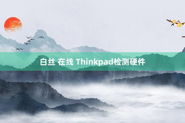 白丝 在线 Thinkpad检测硬件