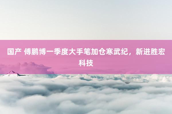 国产 傅鹏博一季度大手笔加仓寒武纪，新进胜宏科技