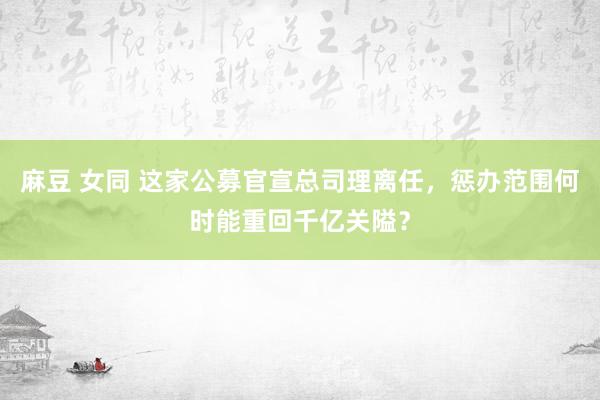 麻豆 女同 这家公募官宣总司理离任，惩办范围何时能重回千亿关隘？