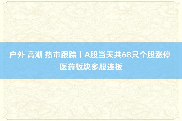 户外 高潮 热市跟踪丨A股当天共68只个股涨停 医药板块多股连板