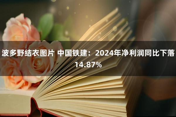 波多野结衣图片 中国铁建：2024年净利润同比下落14.87%