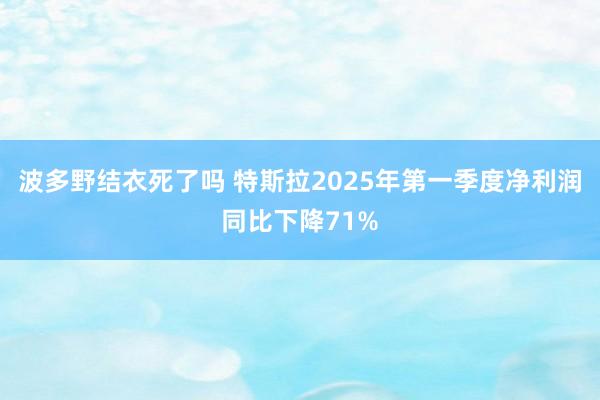 波多野结衣死了吗 特斯拉2025年第一季度净利润同比下降71%