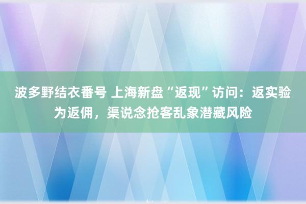 波多野结衣番号 上海新盘“返现”访问：返实验为返佣，渠说念抢客乱象潜藏风险