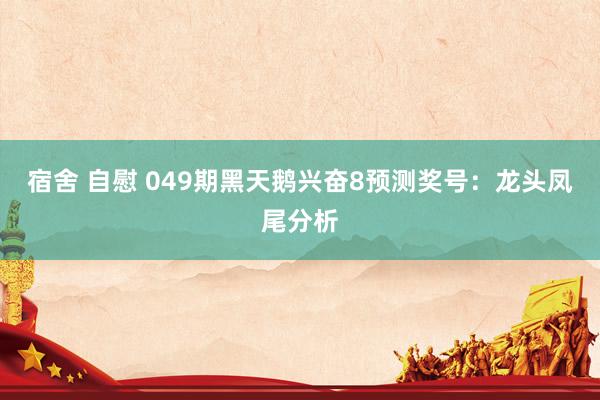 宿舍 自慰 049期黑天鹅兴奋8预测奖号：龙头凤尾分析