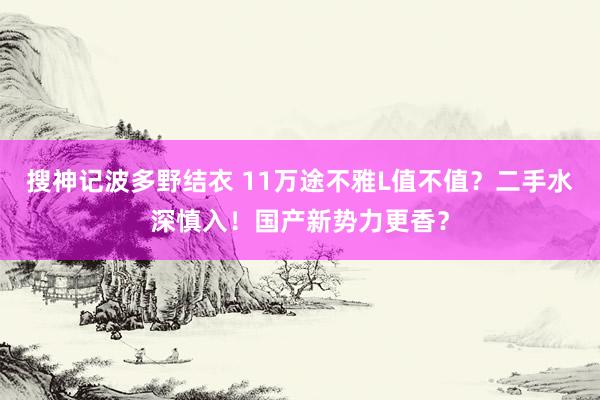 搜神记波多野结衣 11万途不雅L值不值？二手水深慎入！国产新势力更香？